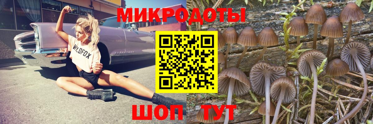 Псилоцибиновые грибы Magic Shrooms Калуга
